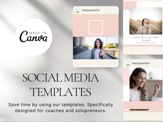 Instagram Posts and Highlights (Pink Theme) and Stories (Brown Theme)
