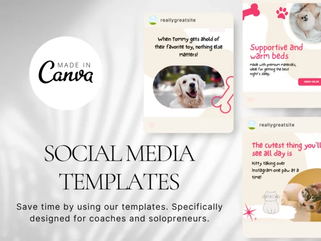 Pet Social Media